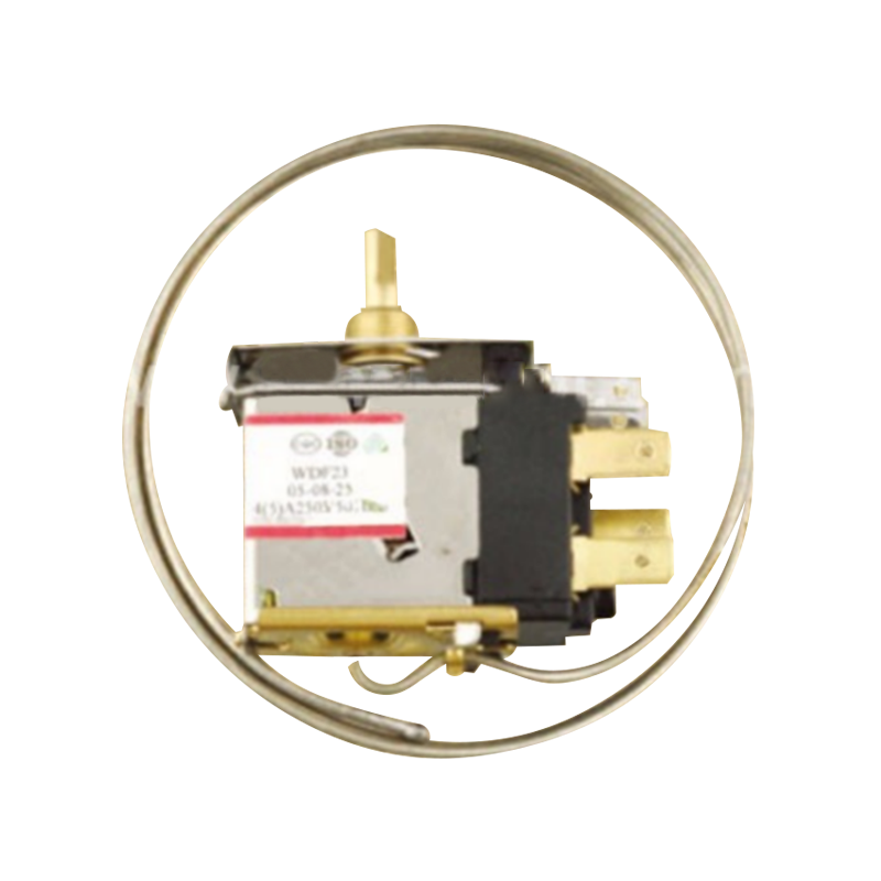 Termostat de rețea WDF23